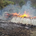 पुरोला के हुडोली क्षेत्र में जंगलों की आग से जली गोशाला !