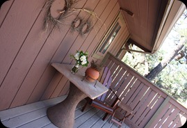 IMG_5728 IMG_5728