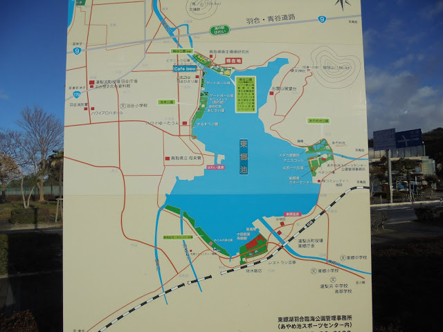 東郷湖羽合の臨海公園