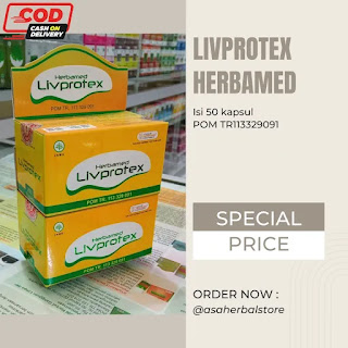 LIVPROTEX Herbamed Kapsul Herbal Isi 50