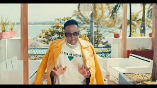 VIDEO | Manengo Ft. Kusah – Milele (Mp4 Download)