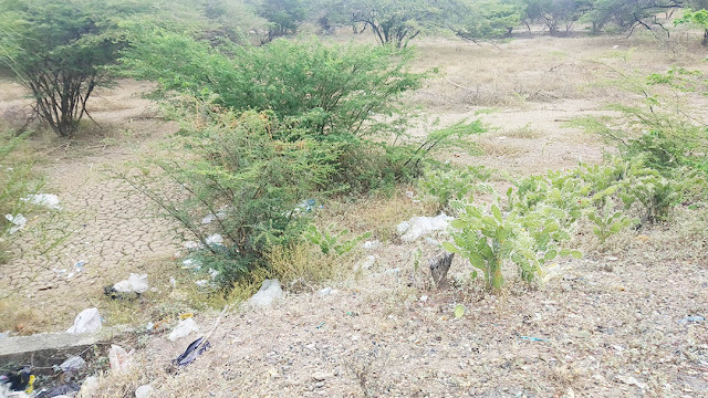 CARRETERA HACIA LA OTRA BANDA FUE CONVERTIDA EN UN VERTEDERO DE BASURA