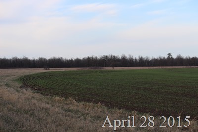 April 28 Field