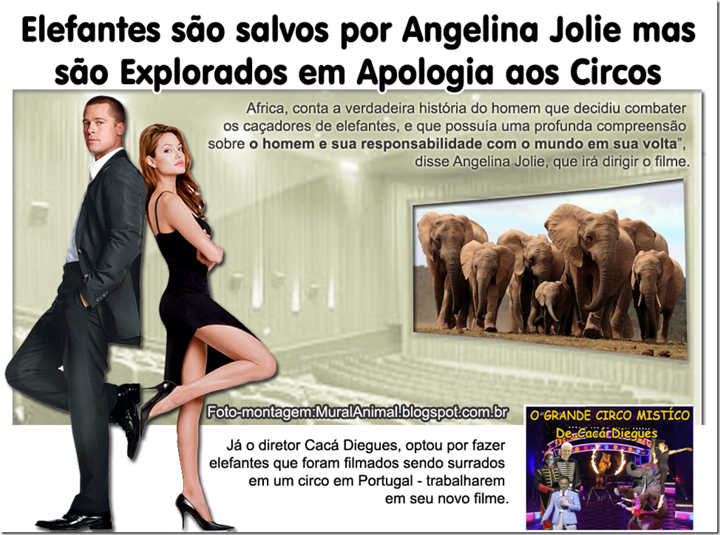angelina_jolie_elefantes