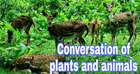 Conversation of plants and animals