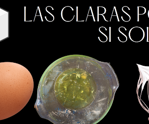 La clara del huevo