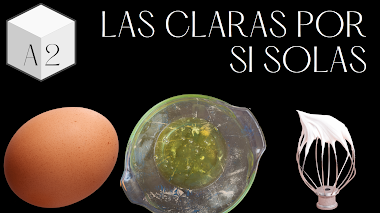 La clara del huevo