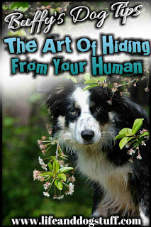 The Art of Hiding From Your Human - Buffy Dog Tips - dog hiding.