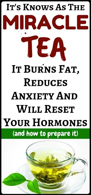 Burn Fat, Reduce Anxiety And Reset Hormones With Tulsi Tea