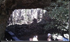 IMAG0351 (Small)