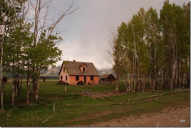 06-04-13 A Teton NP - Mormon Row Area (39)