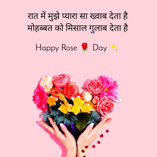 Rose Day Images