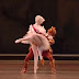 Ballet de Repertório - Pas de Deux do Gato de Botas e Gata Branca - A Bela Adormecida
