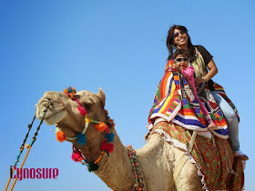 What To Do In Rann Utsav, Detailed Itinerary For A Day At Kalo Dungar