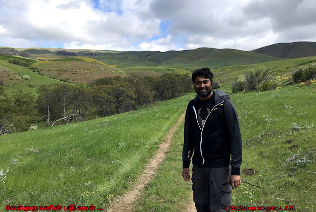 Eight-Mile Creek Falls Hike