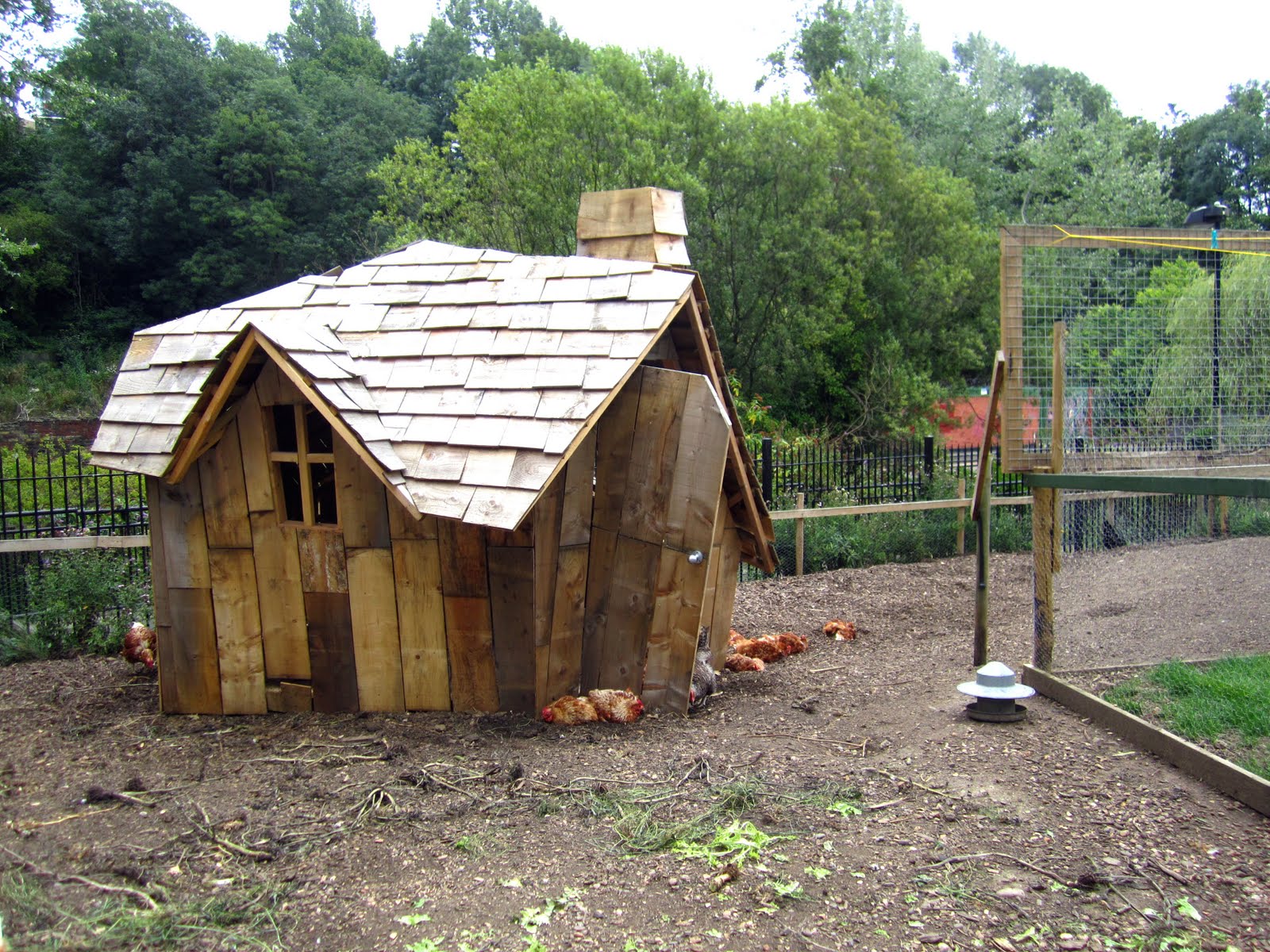 Chicken Coop Pictures - Build a Coop