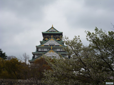 大阪城と桜