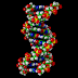 DNA fingerprint