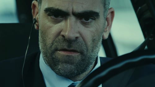 El desconocido 2015 online subtitulado