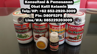 Obat Kutil Kelamin