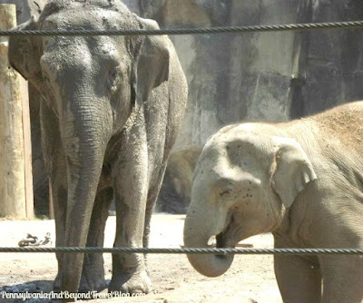 Cleveland Metroparks Zoo in Ohio