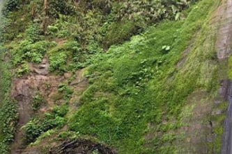 Indahnya Air Terjun Tancak Kembar di Bondowoso