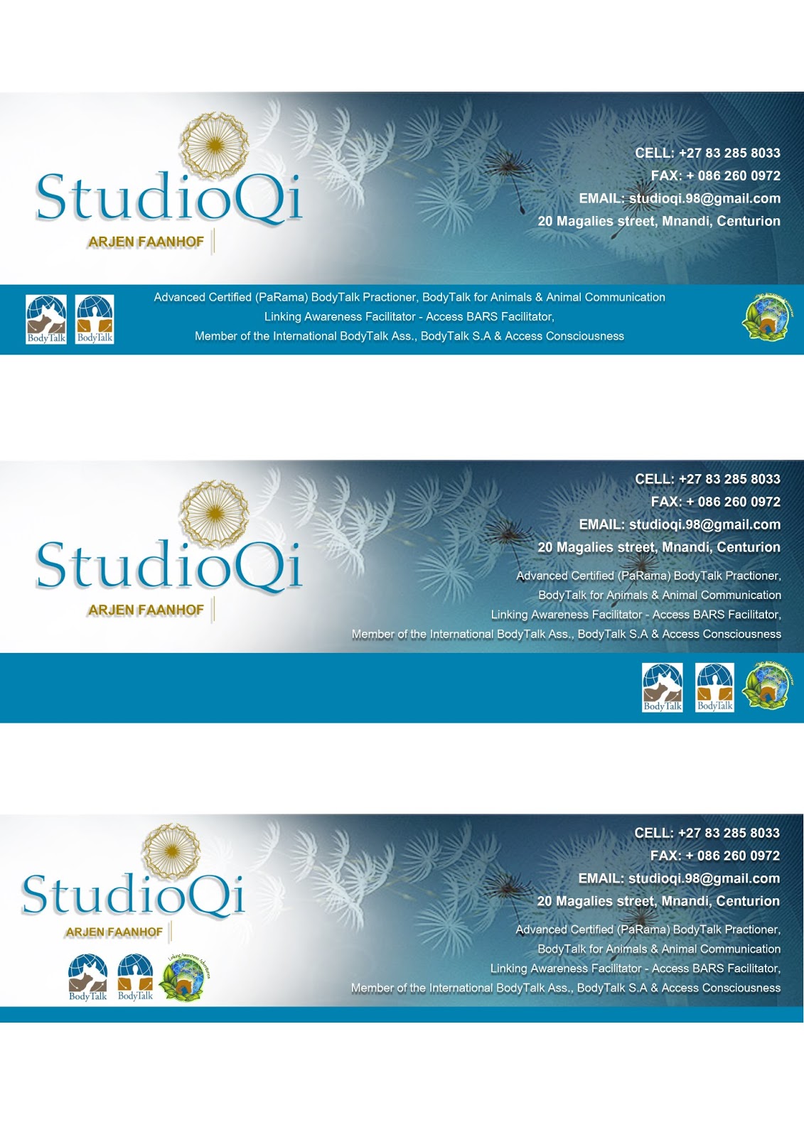 Creative Portfolio of Lisha Naidu: Studio QI - Email Signature Design