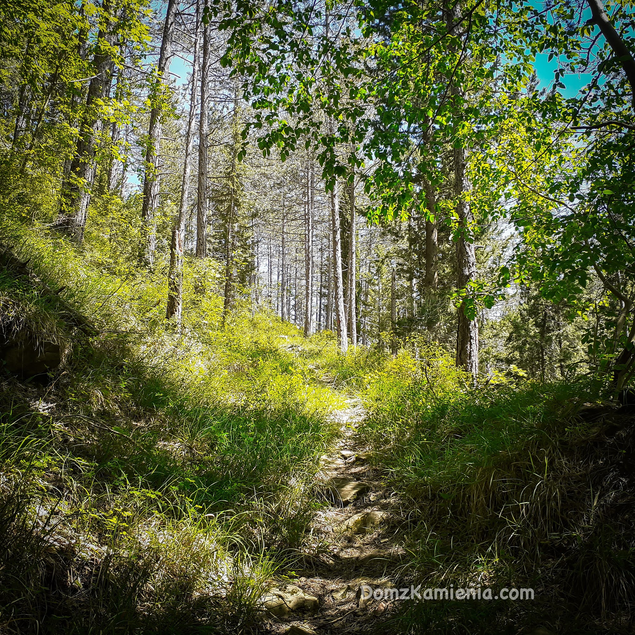 Trekking z Domem z Kamienia, szlak Dantego Marradi