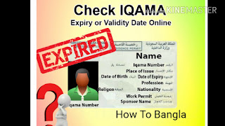   muqeem login, elm portal login, elm login, muqeem visa, muqeem exit entry, muqeem e service, muqeem card, muqeem iqama, muqeem iqama status