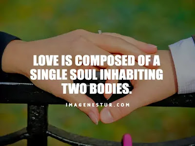 Love Captions-Love is composed of a single soul inhabiting two bodies.