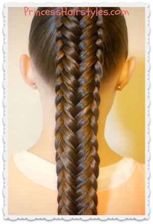 Twisted Edge Fishtail Braid Hair Tutorial Hairstyles For Girls Princess Hairstyles