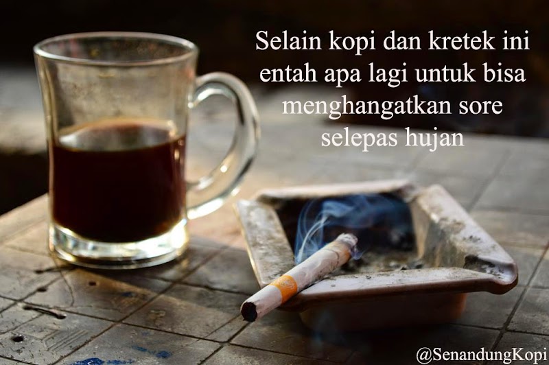 44+ Spesial Kata Bijak Kopi Hujan