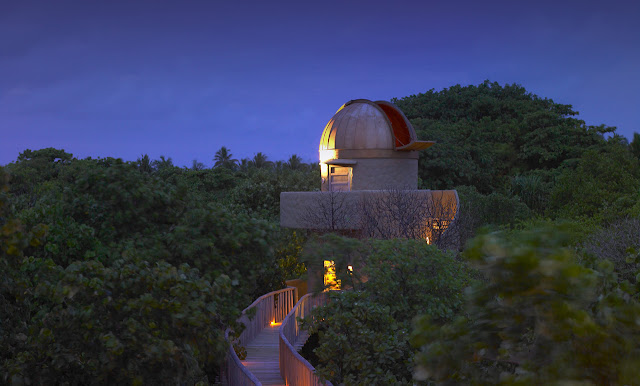 Photo of observatory above the vegetation at night