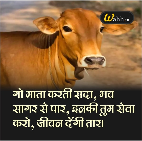 Slogan on Mother Cow