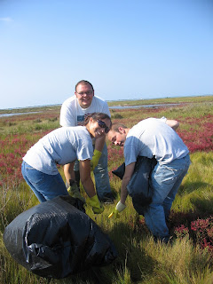 Marsh Clean-up