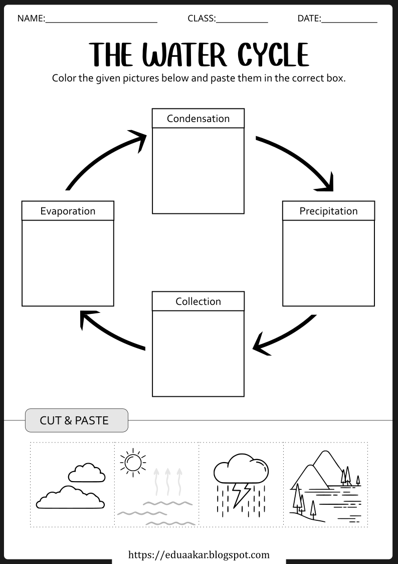 Water Cycle Worksheets