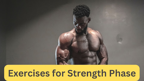 muscle building workout plan