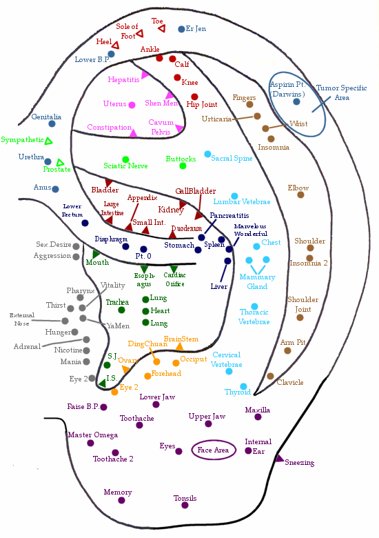 Auricular Ear Acupuncture Points Auricular Ear Acupuncture Points
