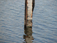 Water level at Lake Rogers Park