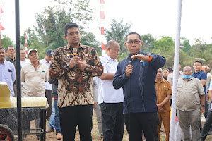  Bupati Taput dan Gubernur Sumut Tanam Jagung di Parmonangan: Bentuk Kolaborasi Dorong Ketahanan Pangan dan Respons Keluhan Petani