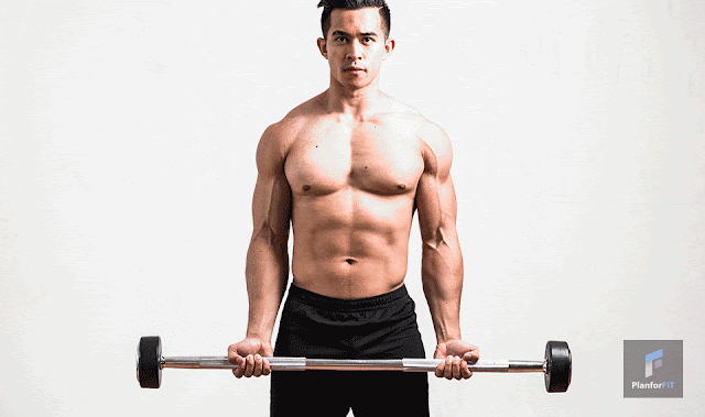 barbell curl muscles worked  barbell curl weight  incline barbell curl  reverse barbell curl  seated barbell curl  barbell curl vs dumbbell curl  olympic barbell curl  barbell curl alternative