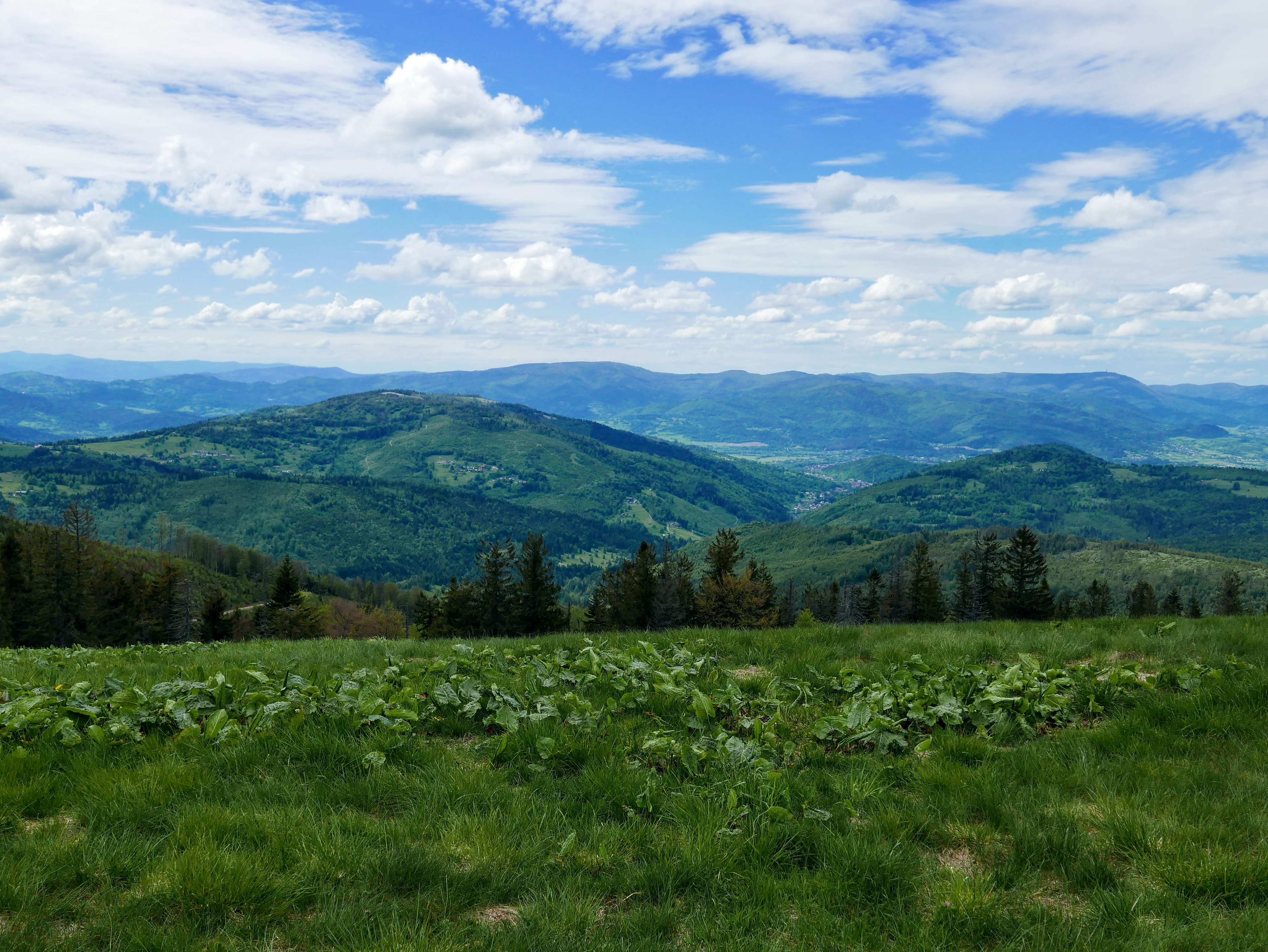 Beskid Żywiecki: Schronisko PTTK na Rysiance - Romanka 1366  m n.p.m.