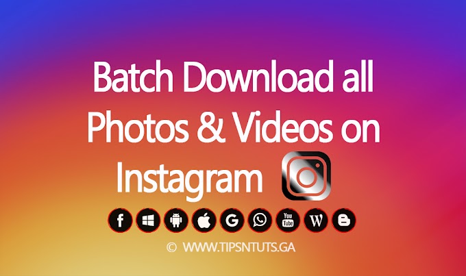 Batch Download all Photos on Instagram in One Click 2018 - Tips N Tuts