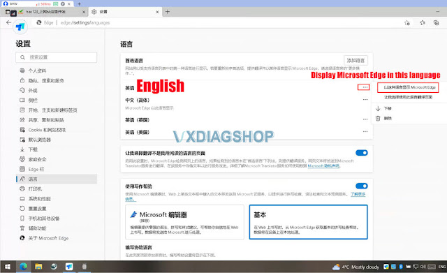 VXDIAG 2TB HDD Web Browser in Chinese Solution 3