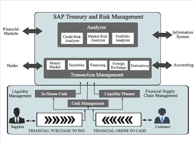 SAP Treasury and Risk Management