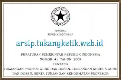 Peraturan Pemerintah No. 41 Tahun 2009