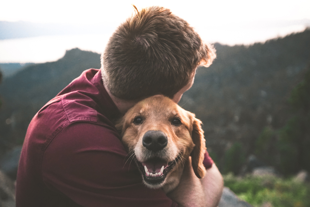 Dogs (And Other Animals) And Mental Health