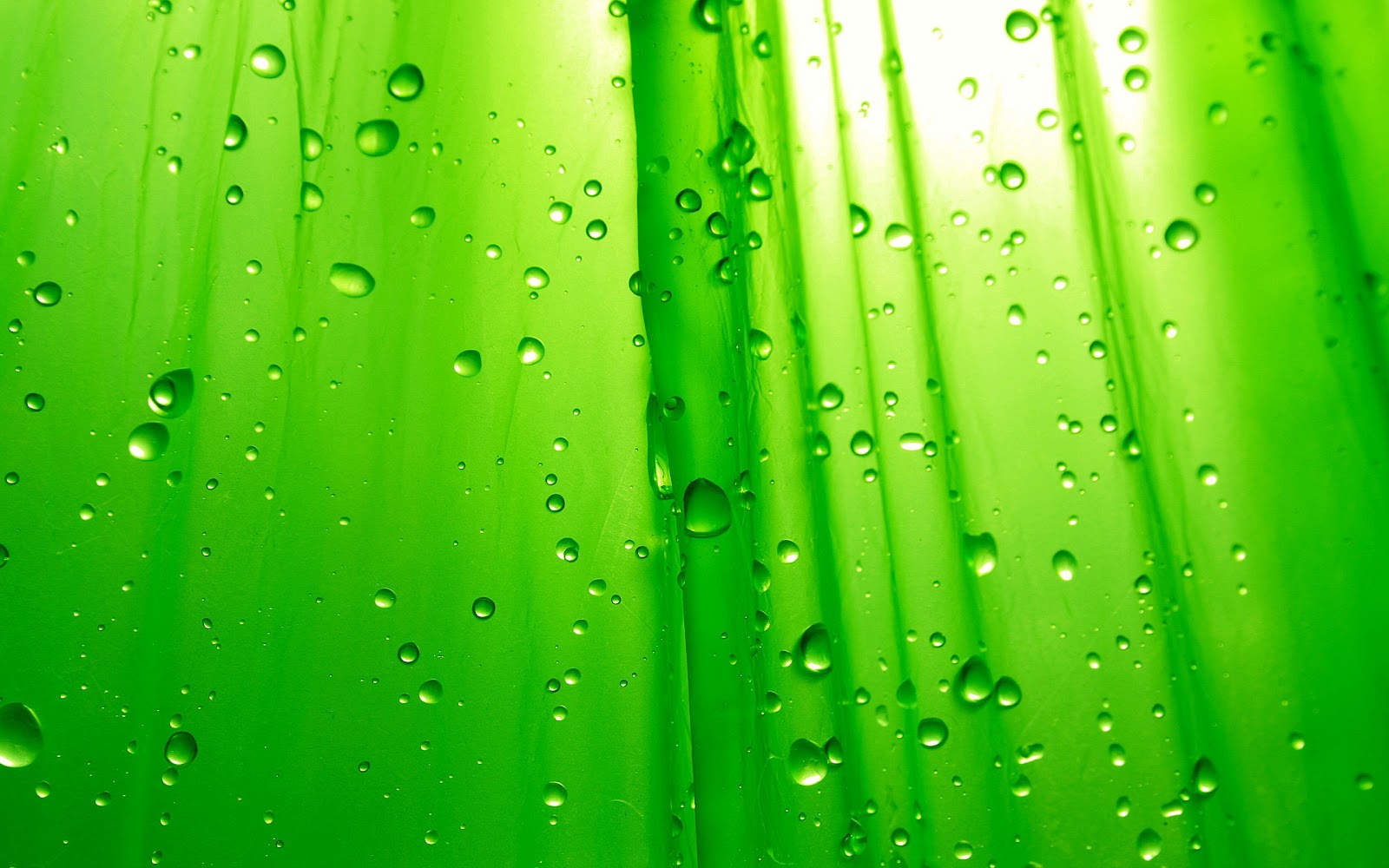 Green Wallpapers,Color wallpapers,image,pictures,HD,wallpapers