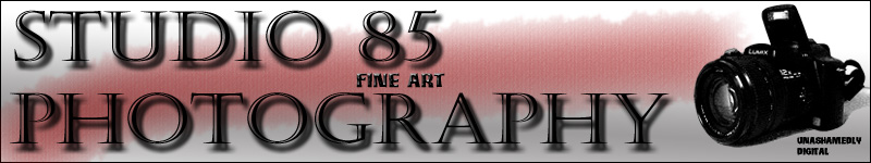 Studio 85