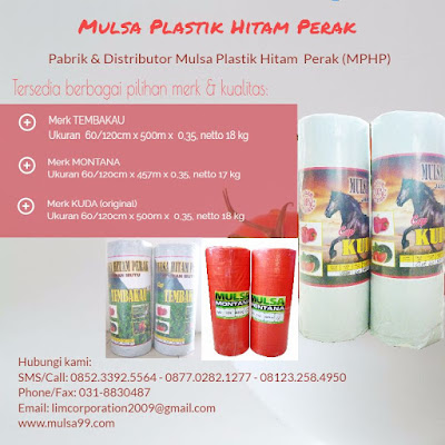 daftar harga mulsa plastik,harga mulsa plastik hitam perak per roll,cara memasang mulsa plastik,pengganti mulsa plastik,harga plastik mulsa 1 roll,harga plastik mulsa eceran,mulsa plastik surabaya,mulsa plastik sidoarjo,mulsa plastik jakarta,mulsa plastik semarang,mulsa plastik makassar